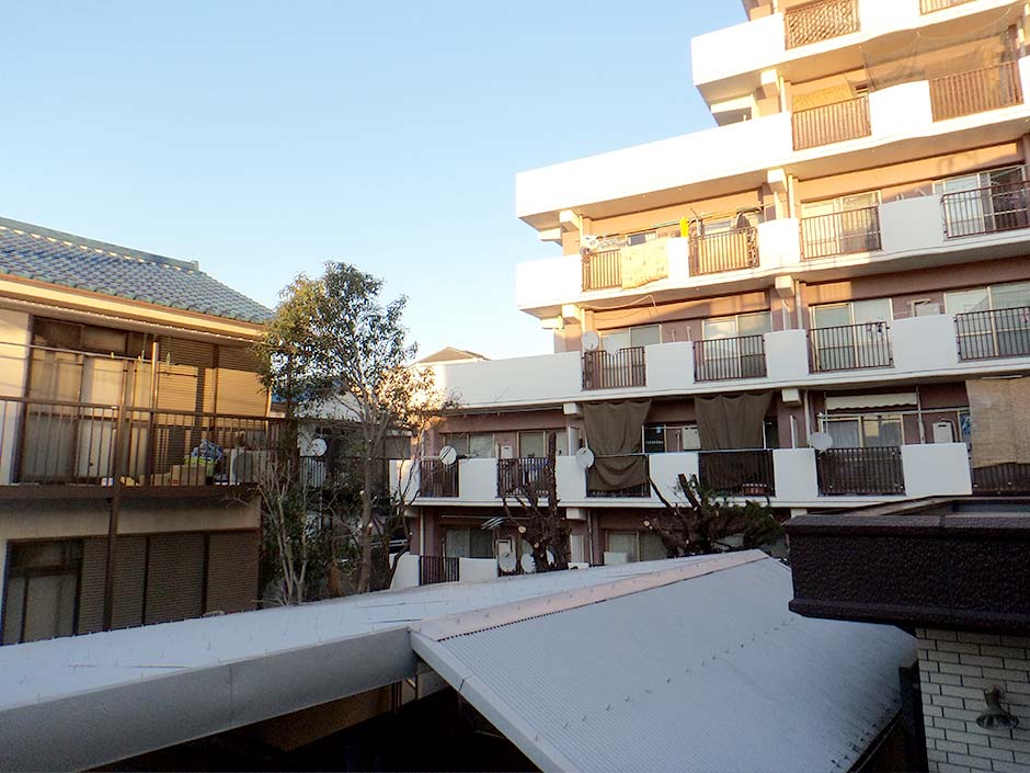 植栽伐採 施工後